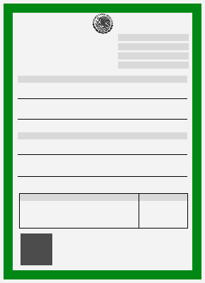 Ícono de acta de nacimiento actualizada