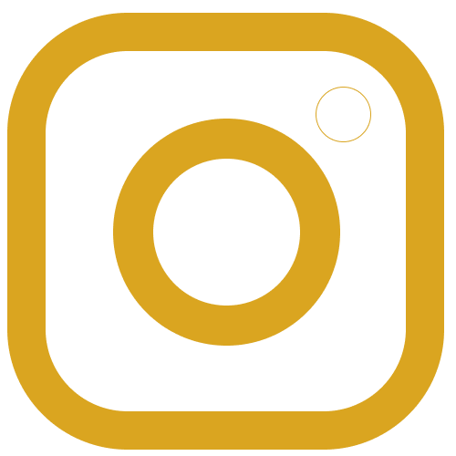 Ícono de Instagram del Liceo Universitario