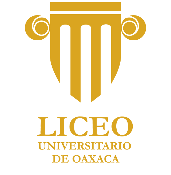 Liceo universitario logo