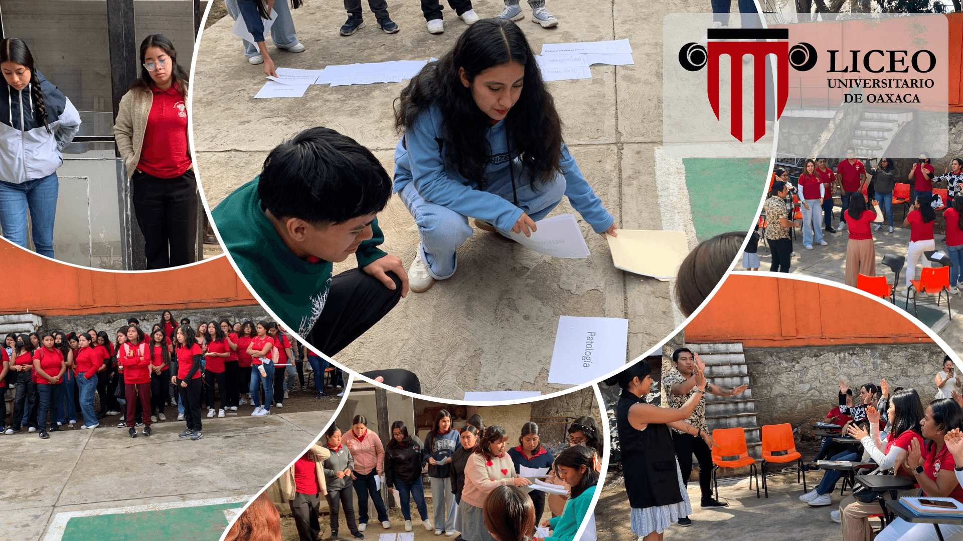 liceo univesitario licenciaturas